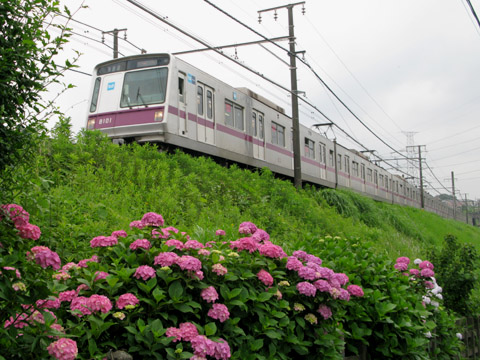 011-tokyu-110616-metro8000.jpg
