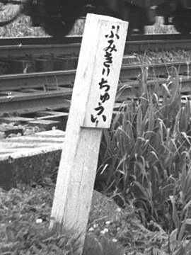 023B-196006-JNRjobanline-toride_fujishiro.jpg